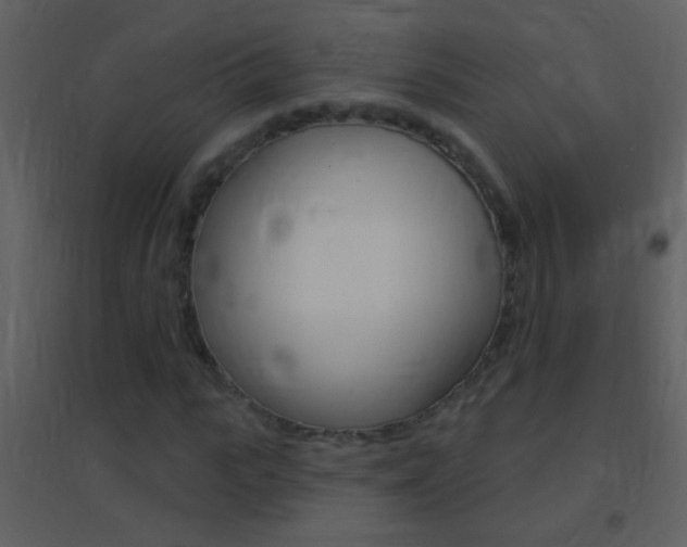 X0000095530919200712140931