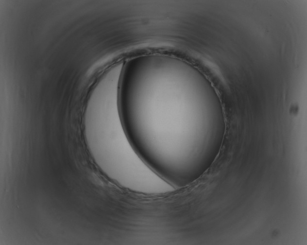 X0000095530920200712140931