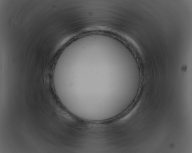 X0000095530921200712140931