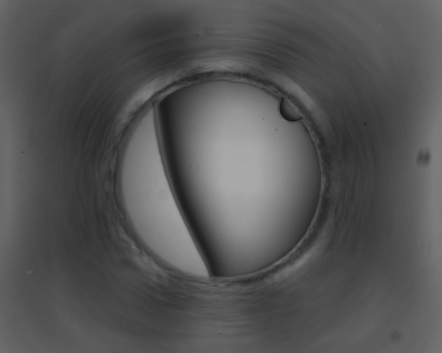 X0000095530922200712140931