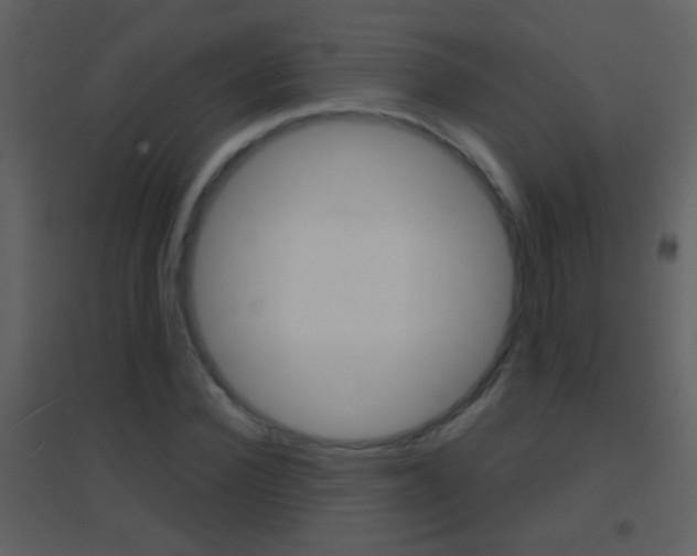 X0000095530924200712140931
