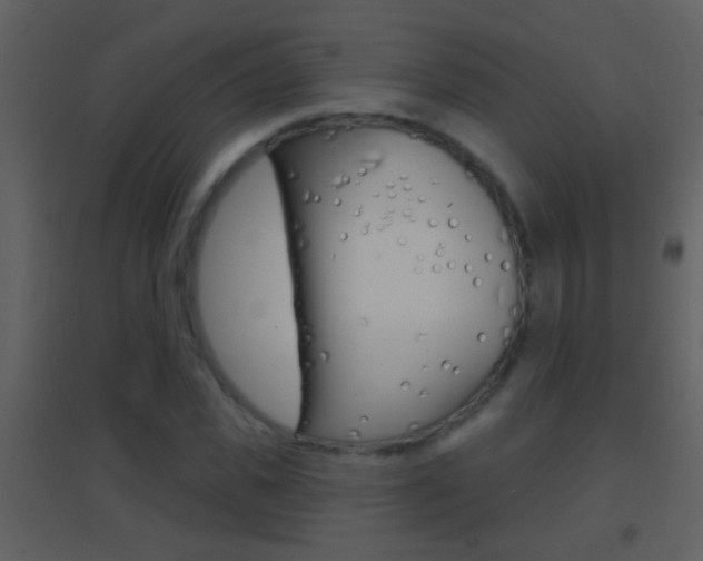 X0000095530925200712140931
