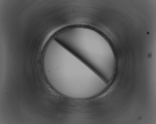 X0000095530926200712140931