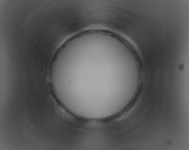 X0000095530929200712140931