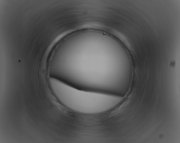 X0000095530931200712140931