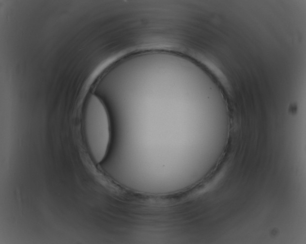 X0000095530933200712140931