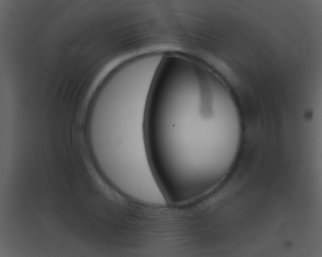 X0000095530934200712140931