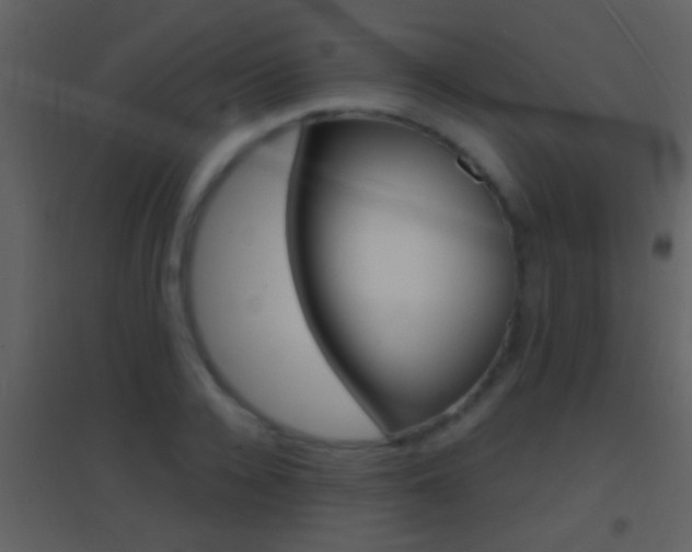 X0000095530936200712140931