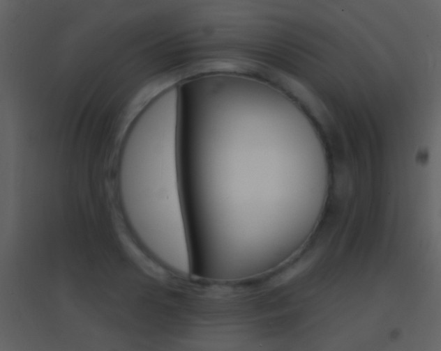 X0000095530938200712140931