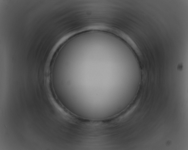X0000095530939200712140931