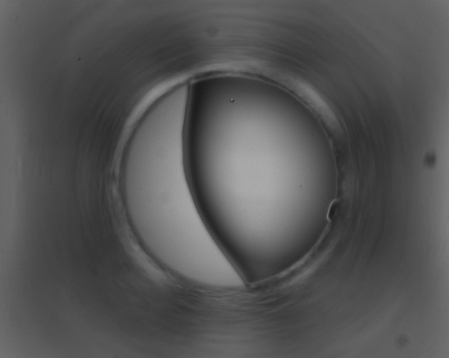 X0000095530940200712140931