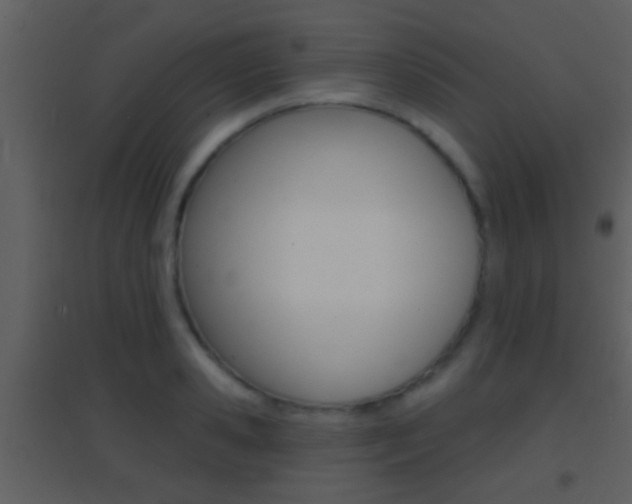 X0000095530941200712140931