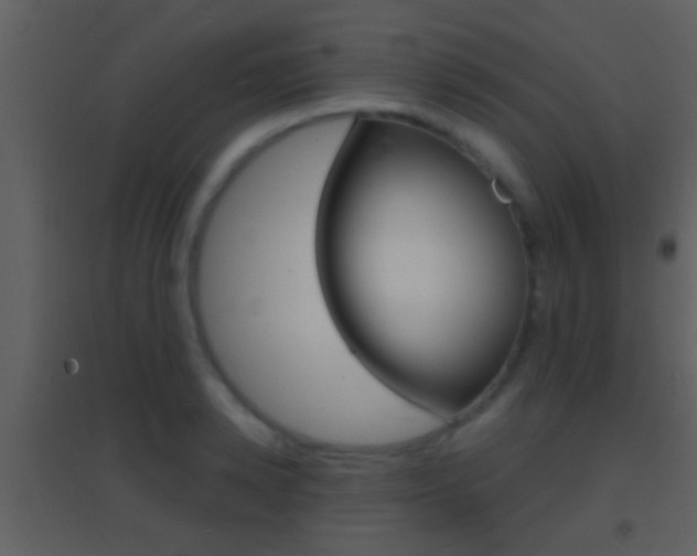 X0000095530942200712140931