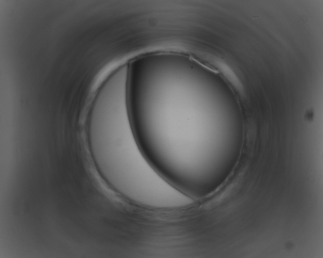X0000095530944200712140931