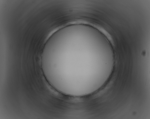 X0000095530945200712140931