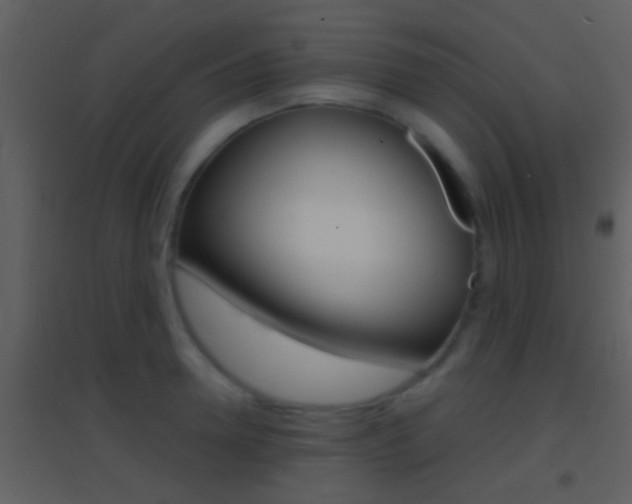 X0000095530946200712140931