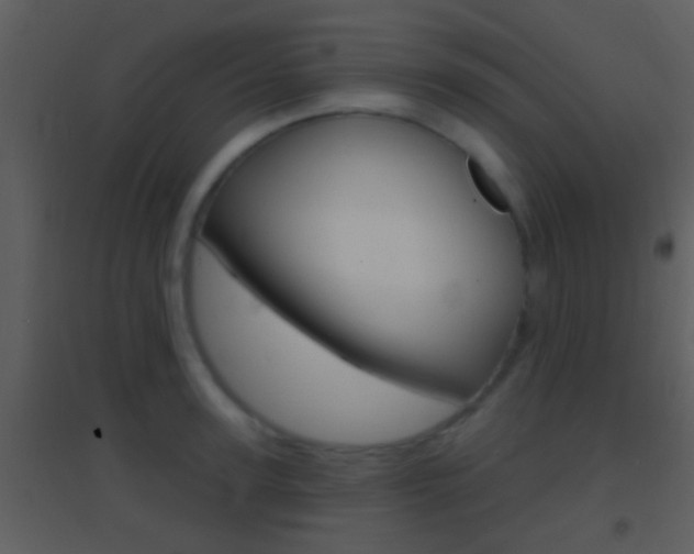 X0000095530947200712140931