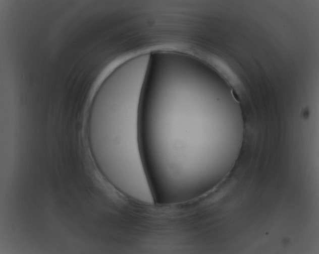 X0000095530948200712140931