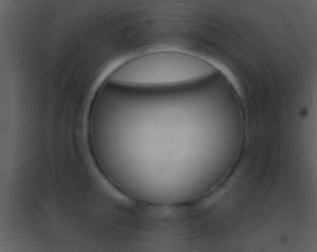 X0000095530949200712140931