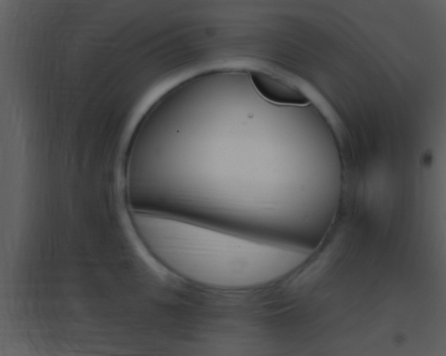 X0000095530951200712140931