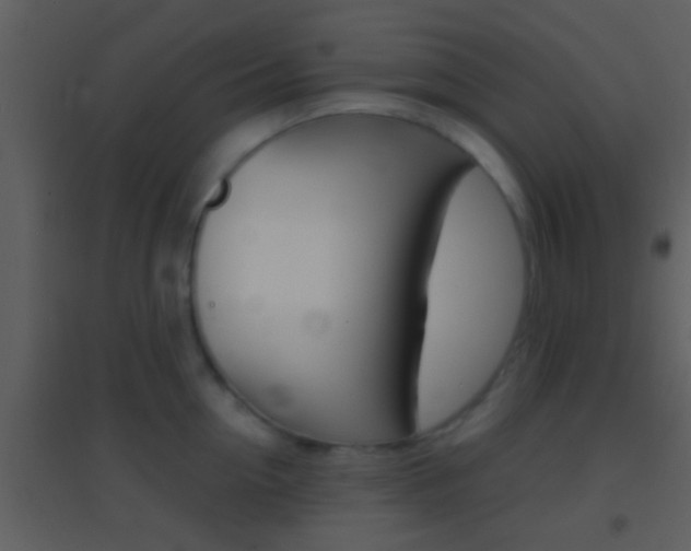 X0000095530954200712140931