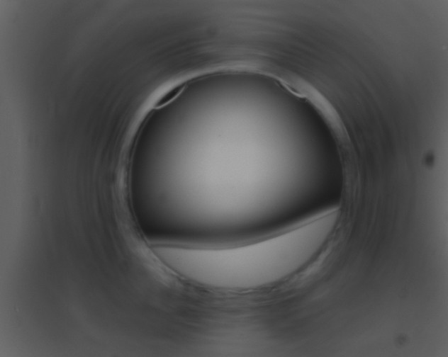 X0000095530956200712140931
