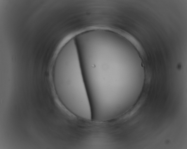 X0000095530958200712140931