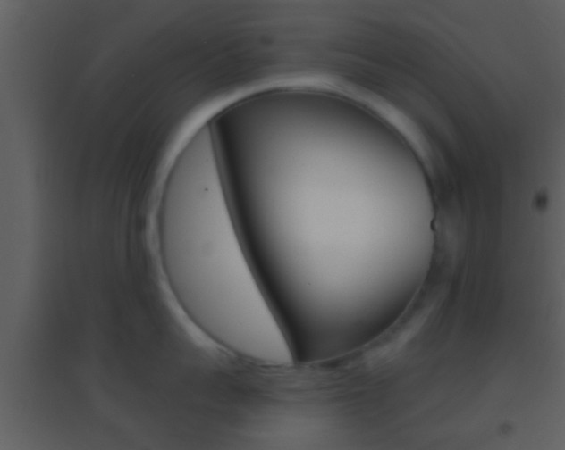 X0000095530959200712140931