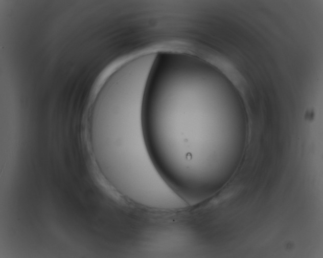 X0000095530960200712140931