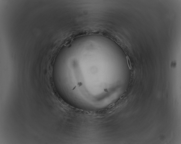 X0000095530961200712140931
