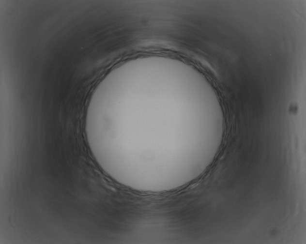 X0000095530965200712140931