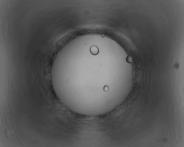 X0000095530966200712140931