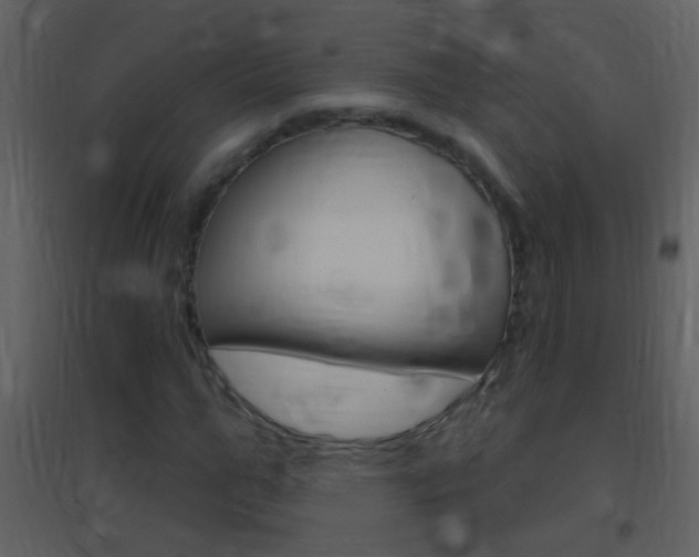 X0000095530967200712140931