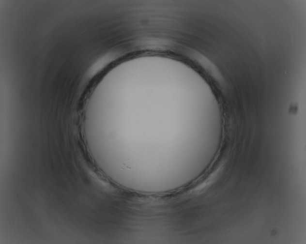 X0000095530970200712140930