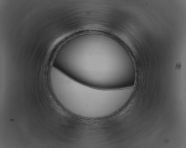 X0000095530971200712140930