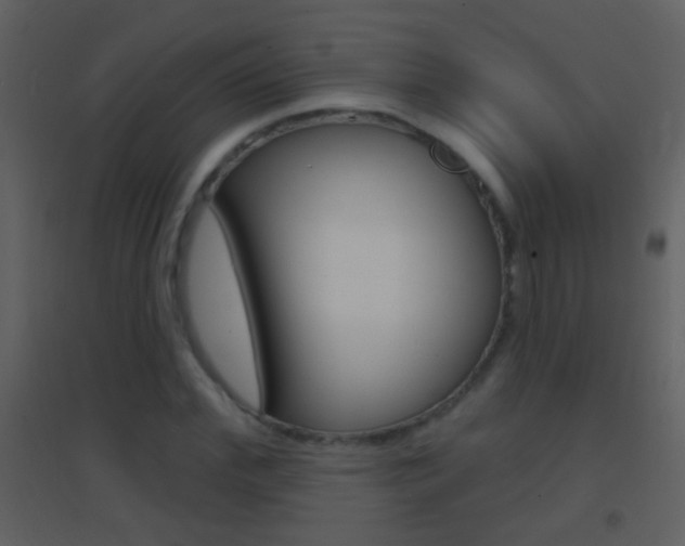 X0000095530972200712140930