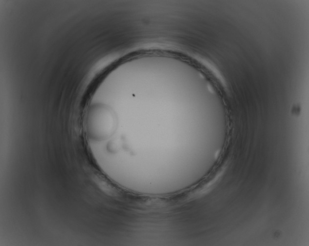 X0000095530974200712140930