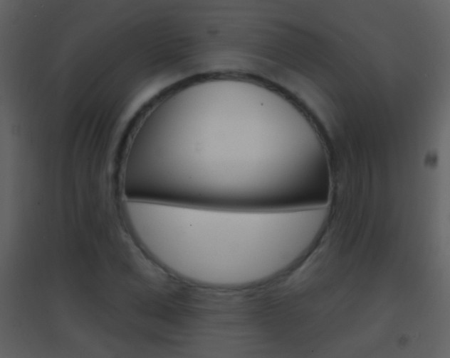 X0000095530975200712140930