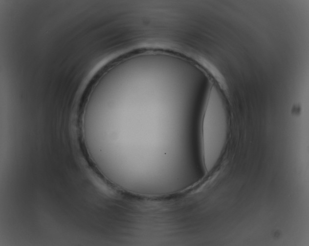 X0000095530976200712140930
