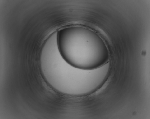 X0000095530977200712140930