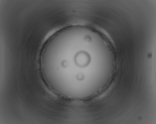 X0000095530978200712140930