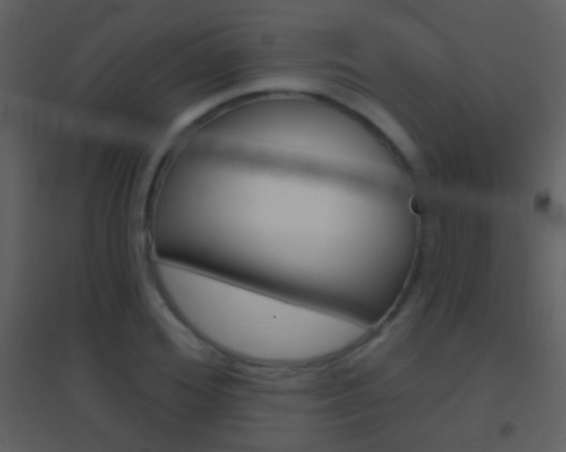 X0000095530980200712140930