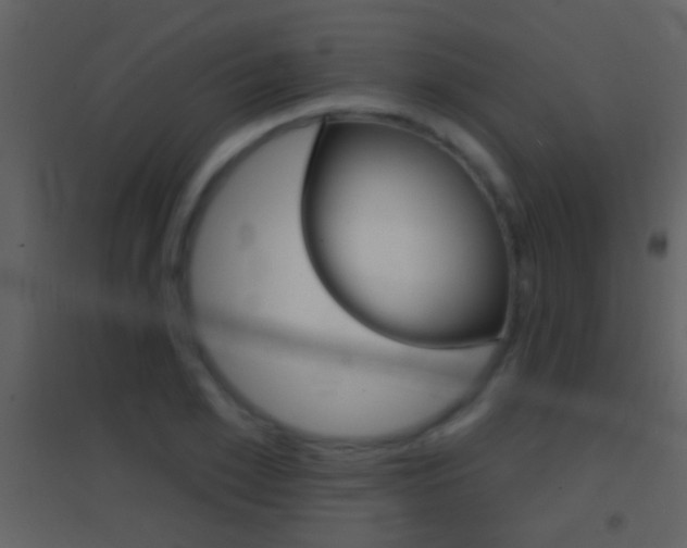 X0000095530981200712140930