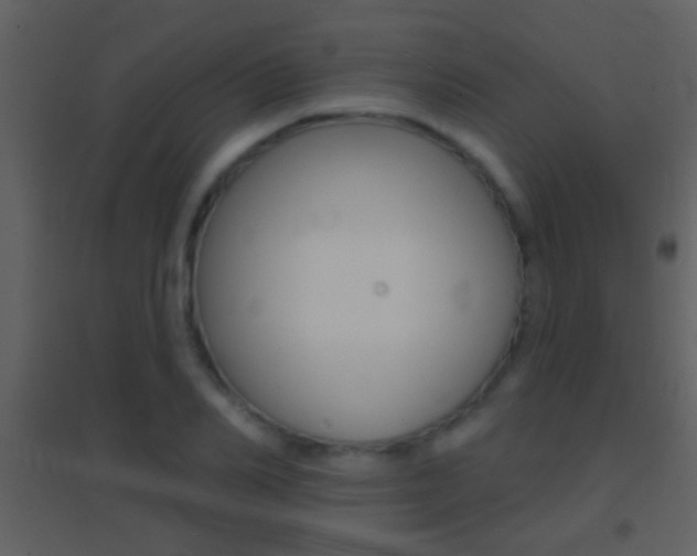 X0000095530982200712140930