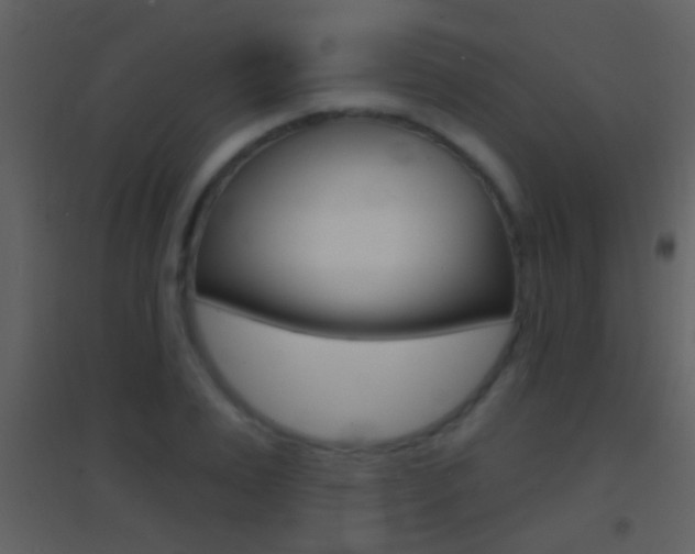X0000095530983200712140930