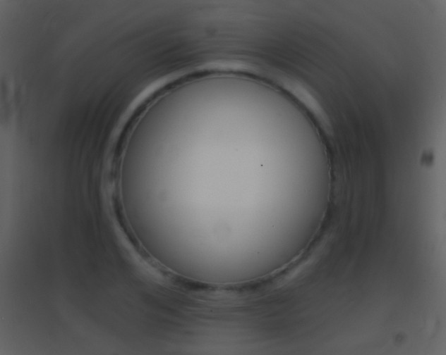 X0000095530984200712140930