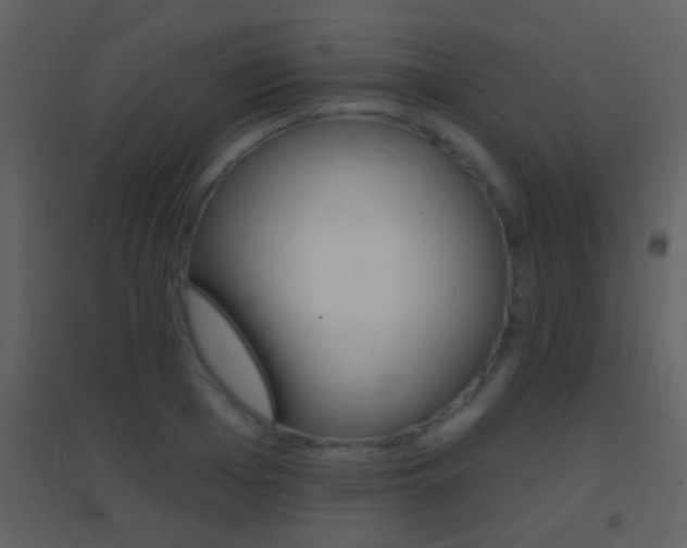 X0000095530985200712140930