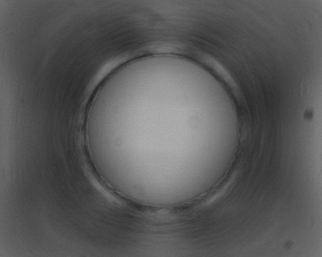 X0000095530986200712140930