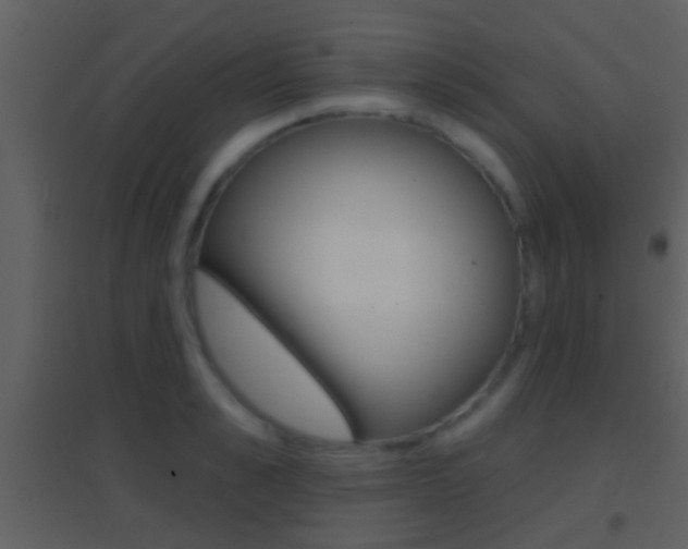 X0000095530989200712140930