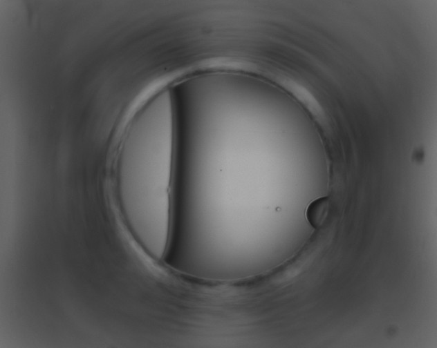 X0000095530992200712140930